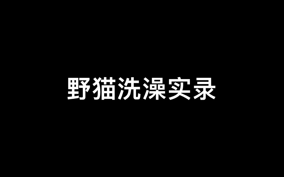 【影视推荐】《窈窕淑女》这个地方好好笑.来源:B站《窈窕淑女》哔哩哔哩bilibili