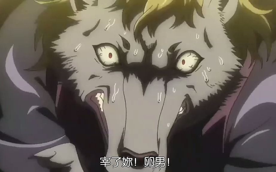 1 全职猎人蚁王篇:章鱼哥智斗狼人威尔芬,一场高智商的战斗