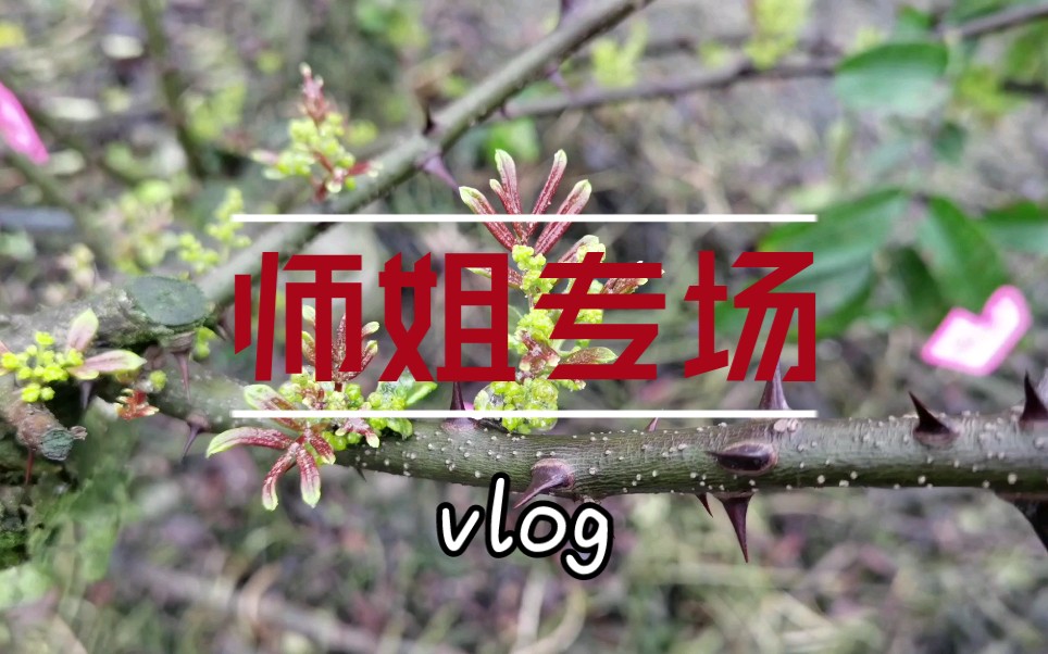 师姐专场|师兄:师姐得多丑呀哔哩哔哩bilibili