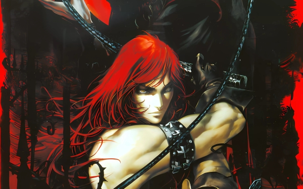 恶魔城 -継承- 乾坤の血族