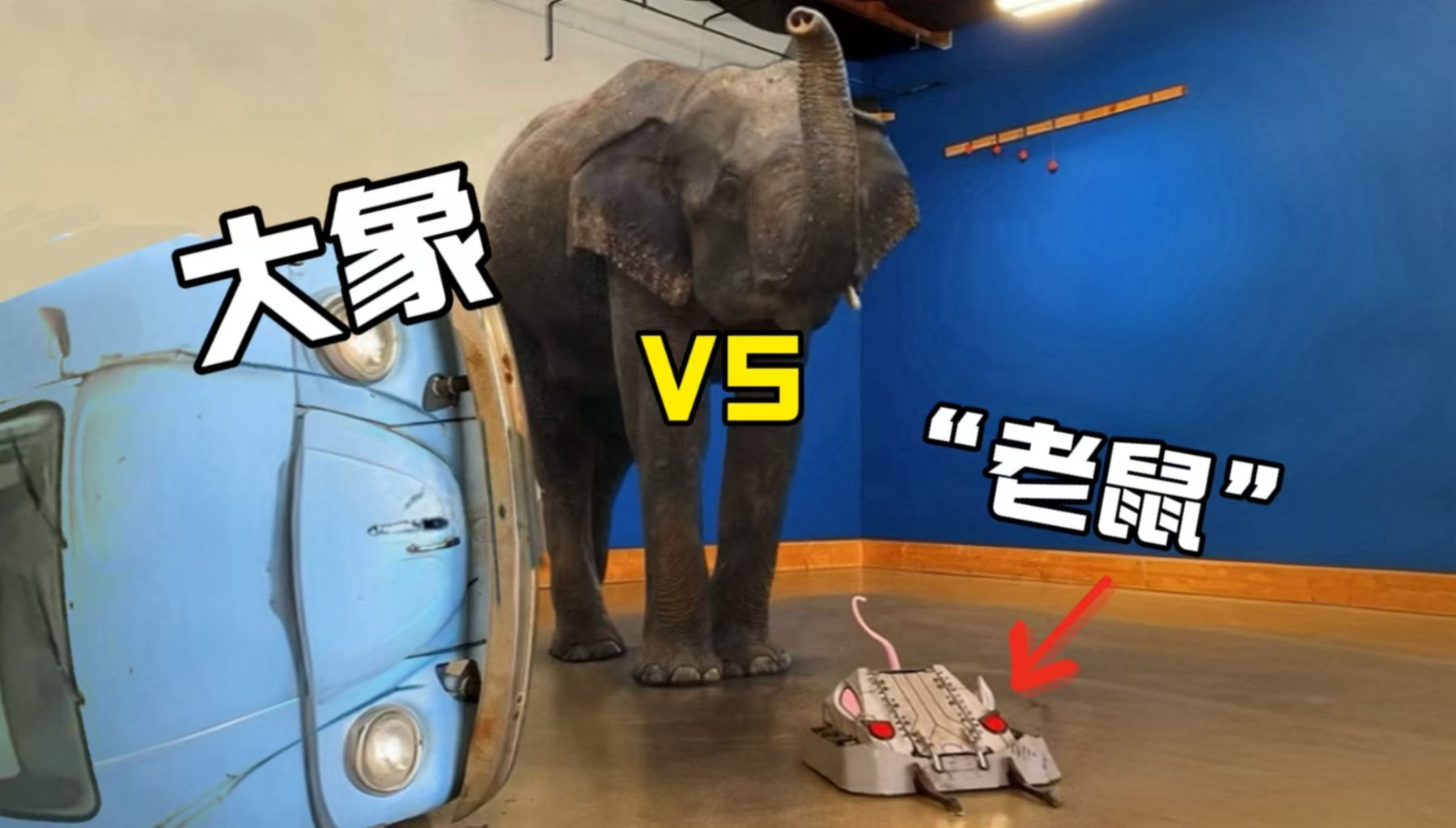 迷你翻转机器人 vs 越来越重的物体【MarkRober官方】哔哩哔哩bilibili