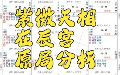 紫相在辰 原局分析哔哩哔哩bilibili