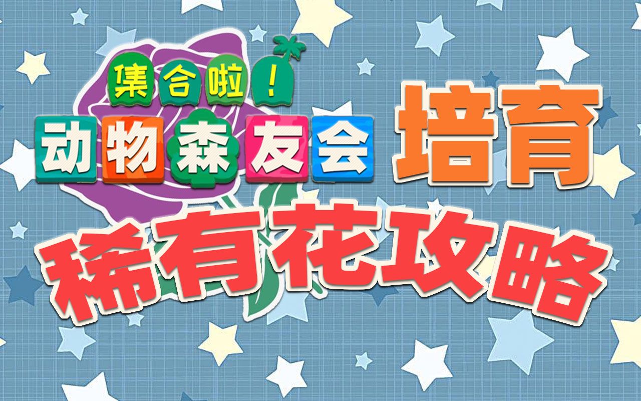 【动物森友会】稀有花杂交攻略,一起种出蓝玫瑰!哔哩哔哩bilibili