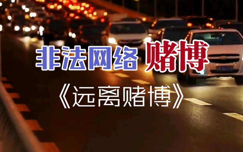 海南省琼海市→2019年5月29日《非法网络赌博》全集哔哩哔哩bilibili