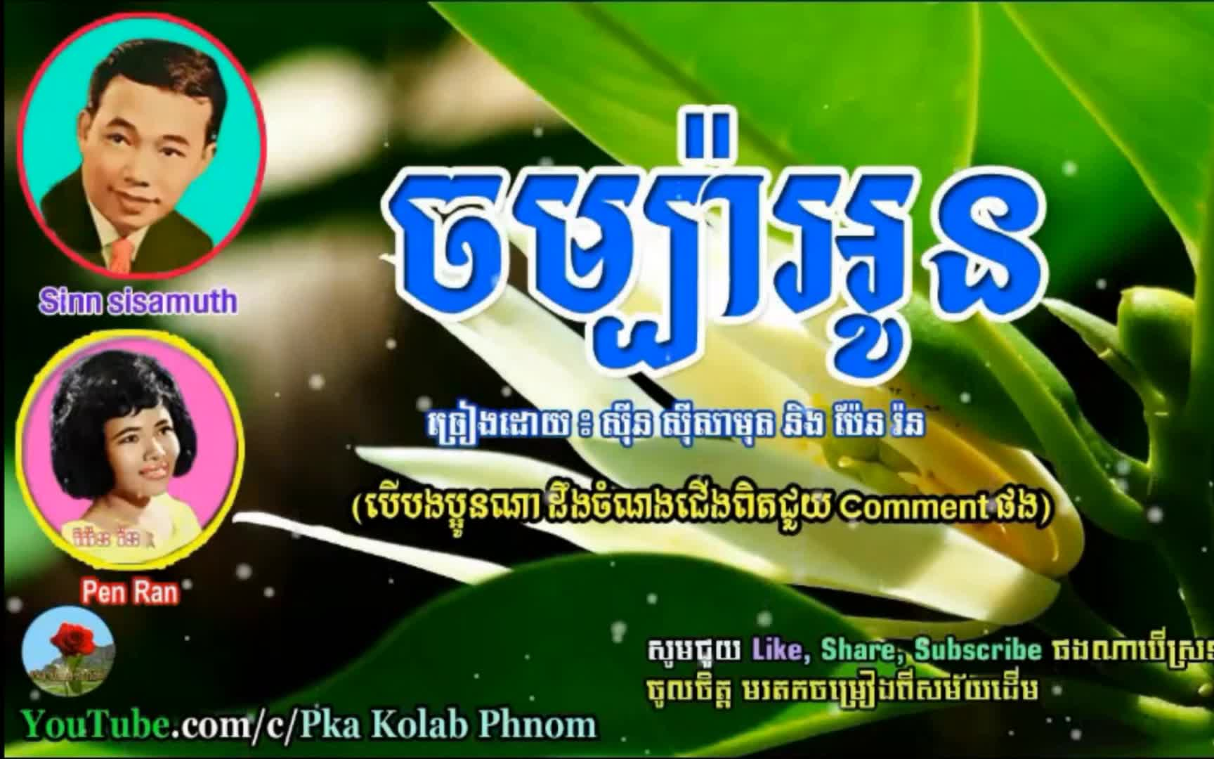 经典高棉歌曲【亲爱的chompa】中文翻译 | 绝不会让这朵花凋零