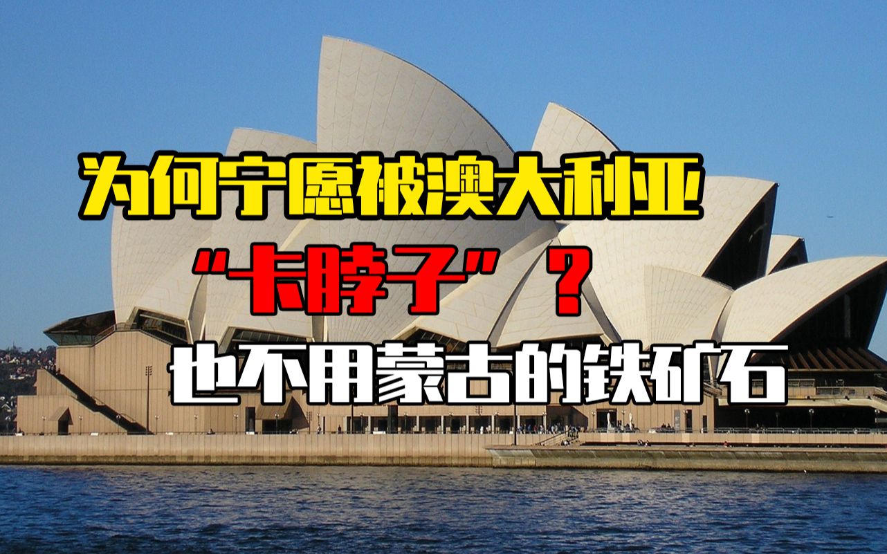 我国为什么不用蒙古的铁矿石,反而看澳大利亚脸色,原因令人心酸哔哩哔哩bilibili