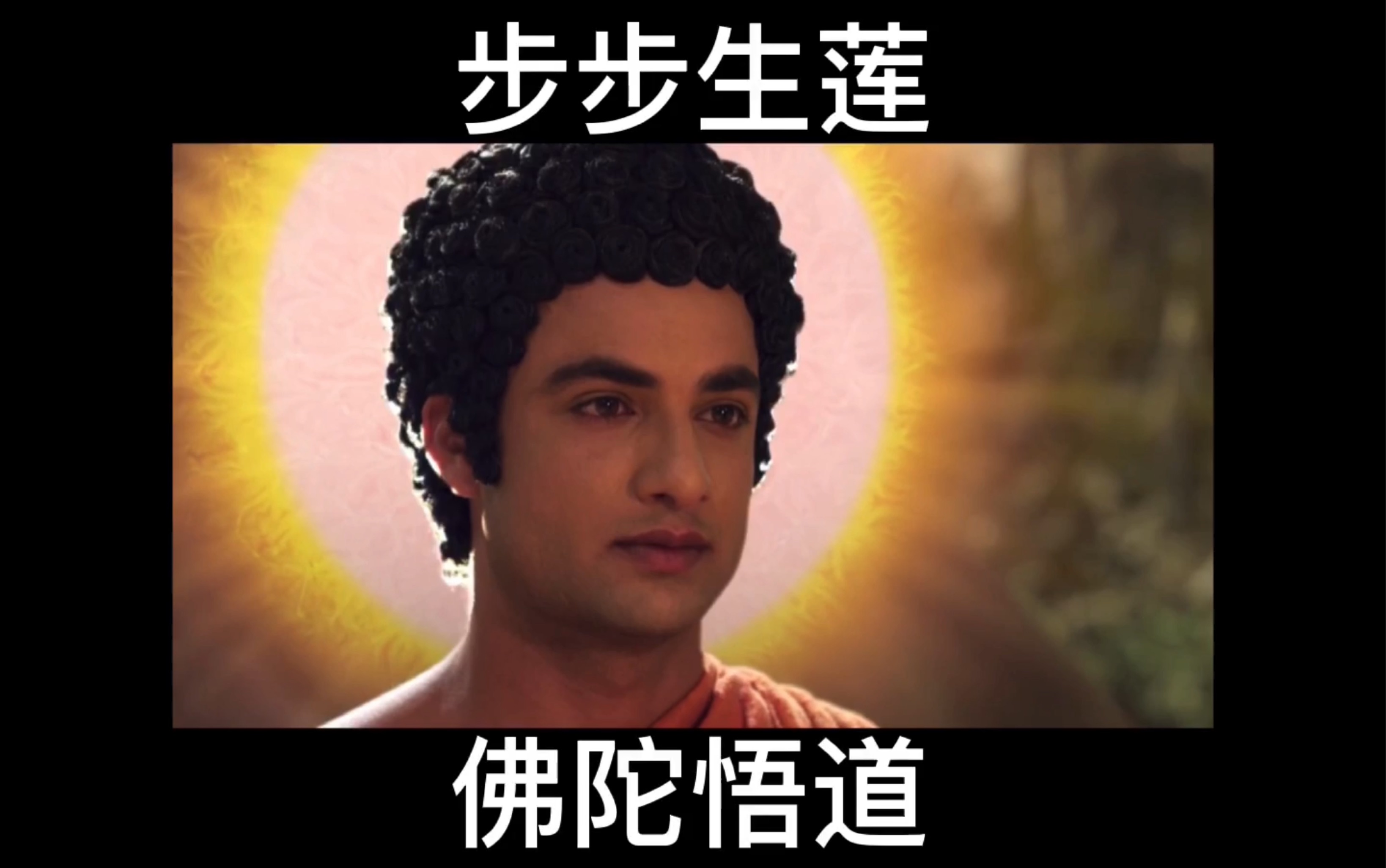 《佛陀》菩提树下:一花一世界,因我醒来,和平与安宁,将行于世间