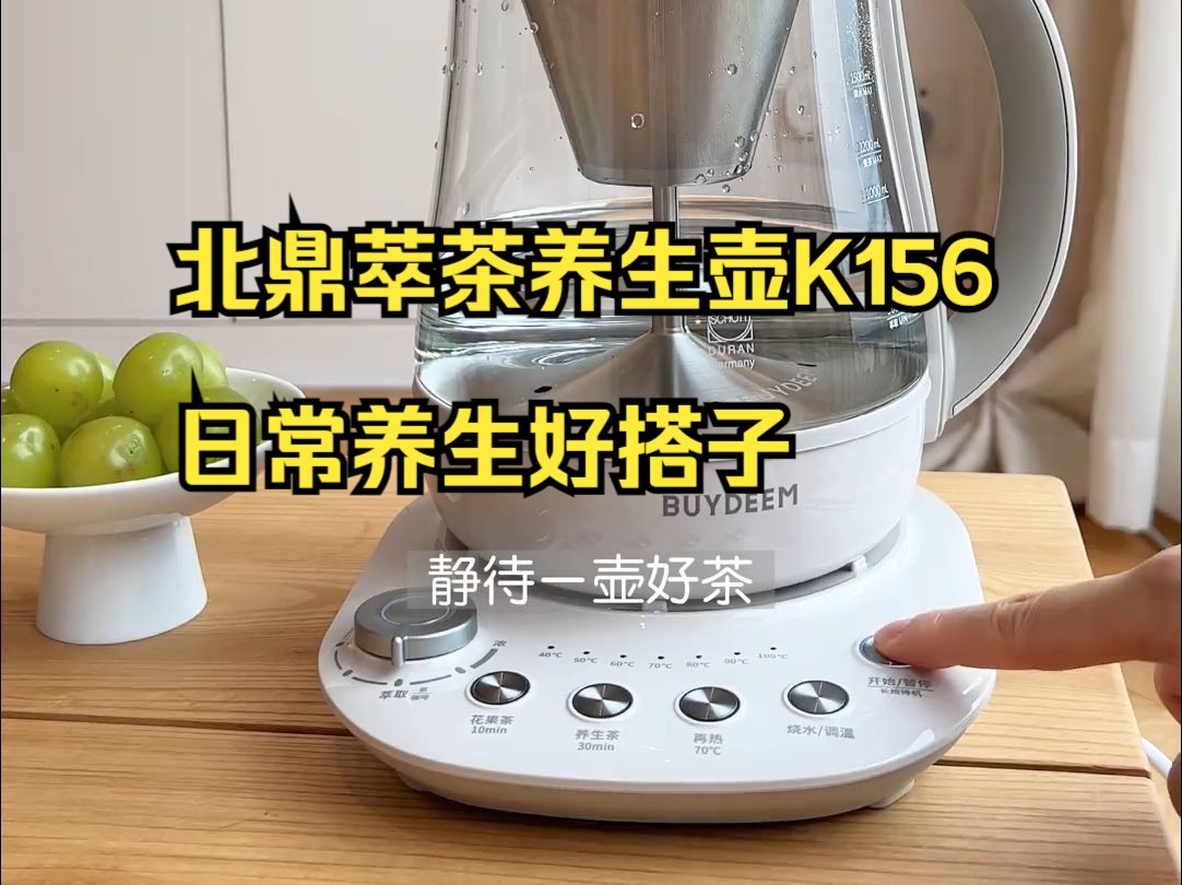 北鼎萃茶养生壶K156,日常养生好搭子!哔哩哔哩bilibili