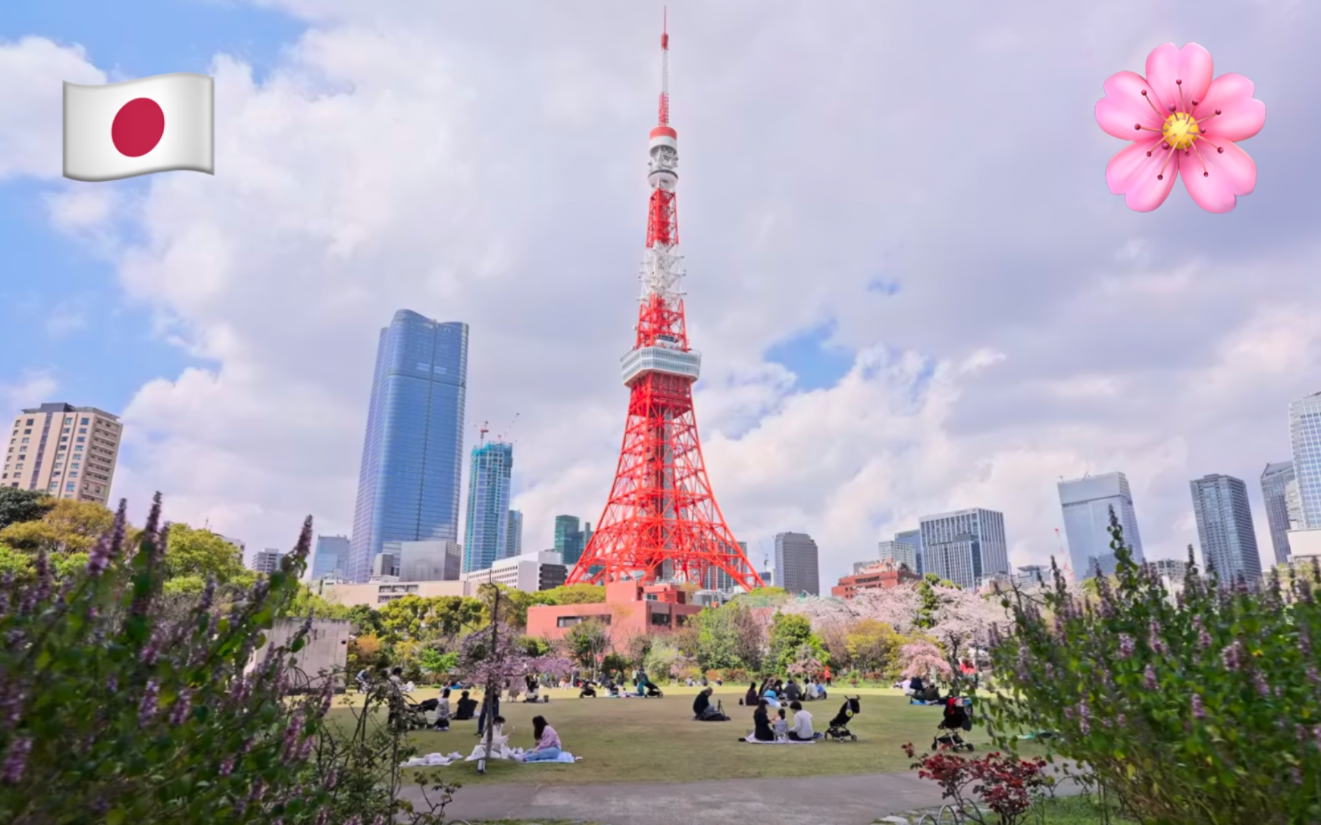 【4k超清】3月樱花季漫步游日本东京港区滨松町芝公园 拍摄日期:2023.