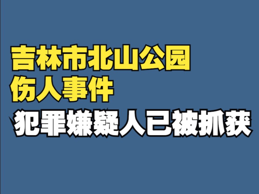 吉林省吉林市北山公园伤人事件犯罪嫌疑人已被抓获哔哩哔哩bilibili