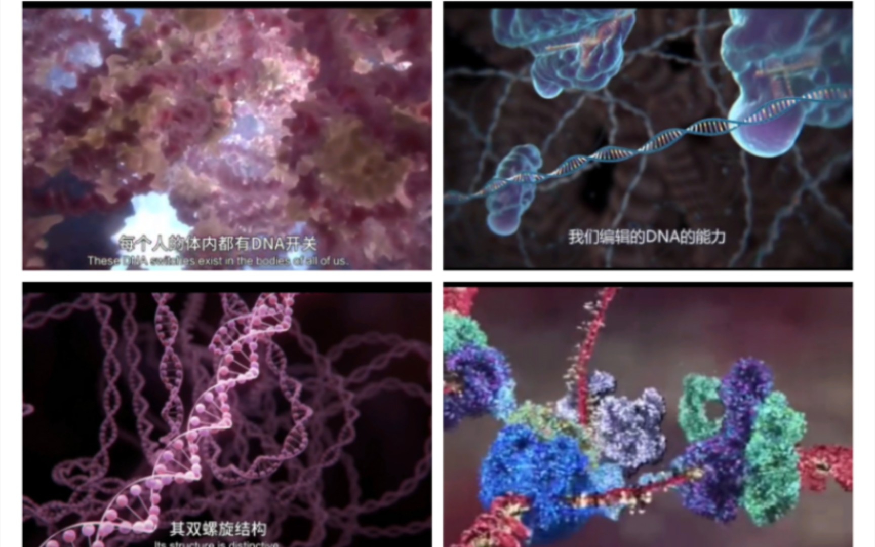 [图]关于DNA的所有动画演示合集。DNA开关对健康的影响。DNA开关对癌症抑制分子产生的影响。DNA转录。基因编辑动画。DNA复制过程。DNA蛋白质合成。