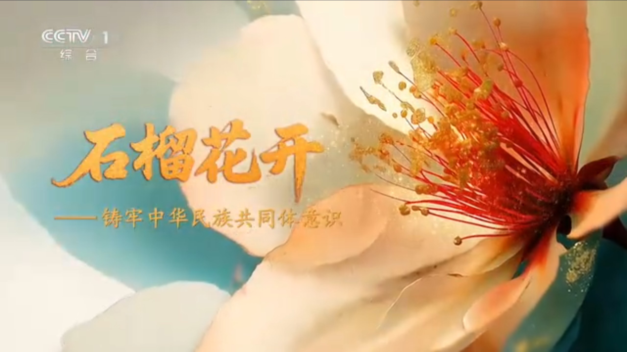 石榴花开——铸牢中华民族共同体意识：第五集 情感相亲