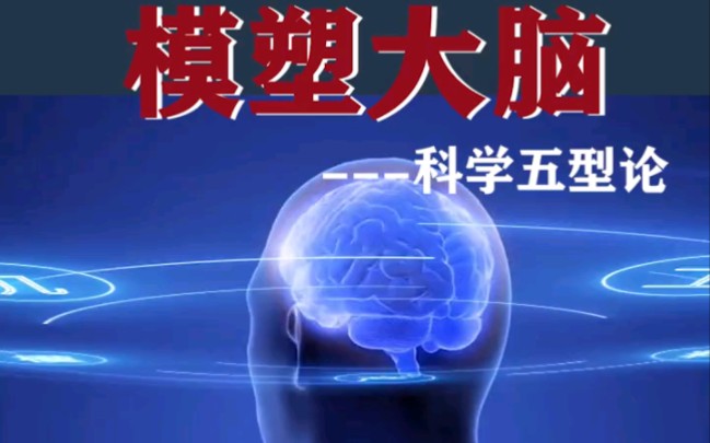 模塑大脑~科学五型论哔哩哔哩bilibili