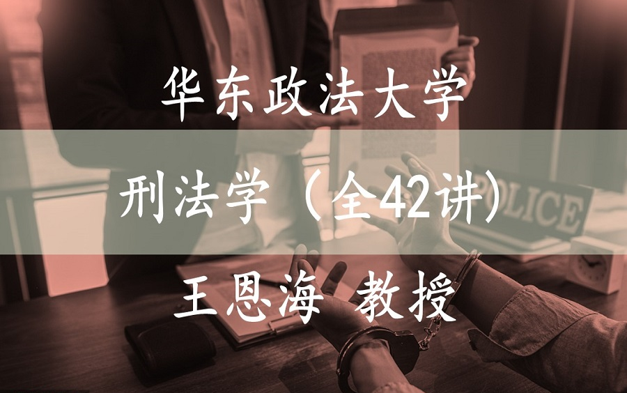 [图]【刑法学（全42讲）】国家级精品课 华东政法大学 王恩海 教授