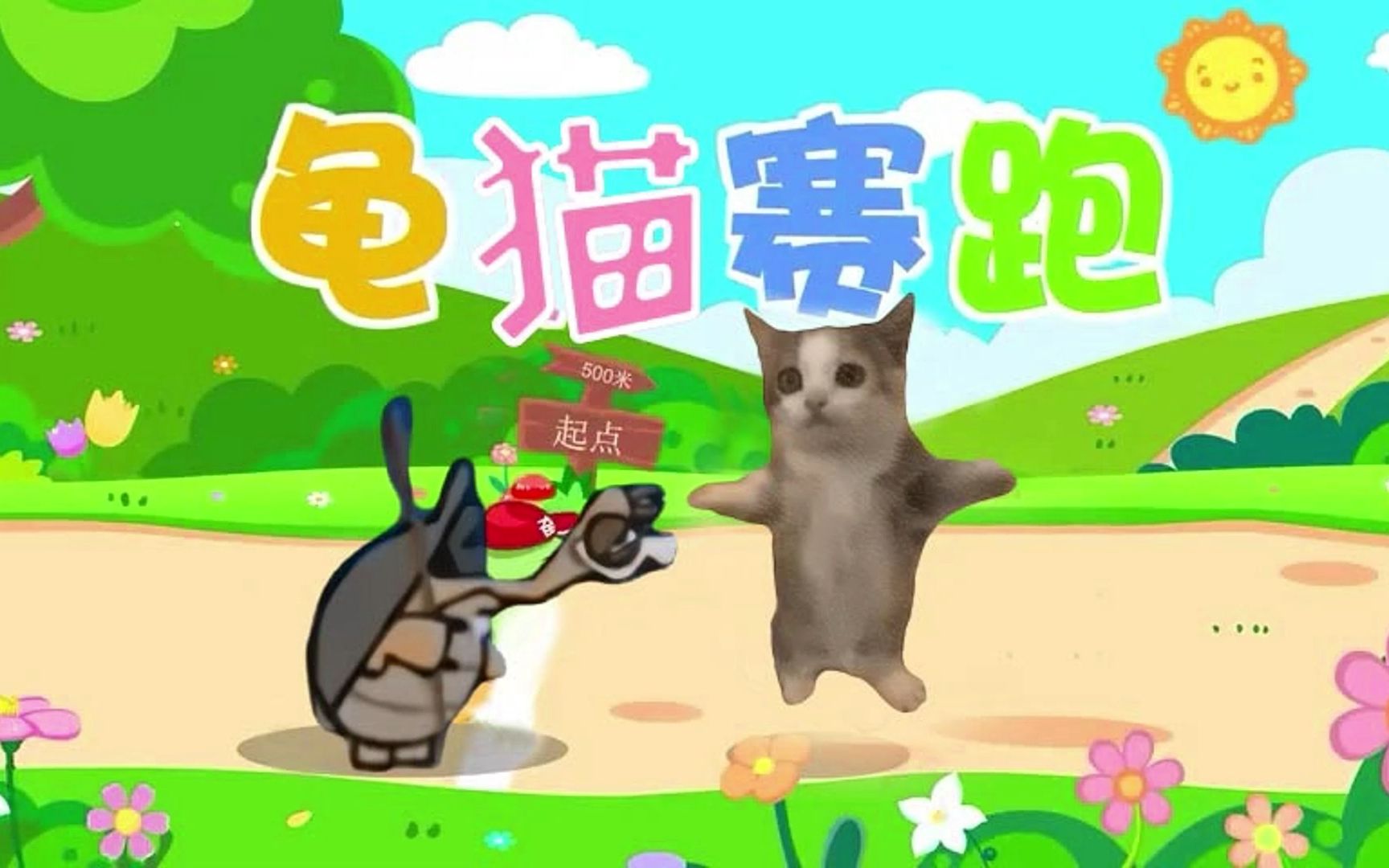 [图]龟 猫 赛 跑