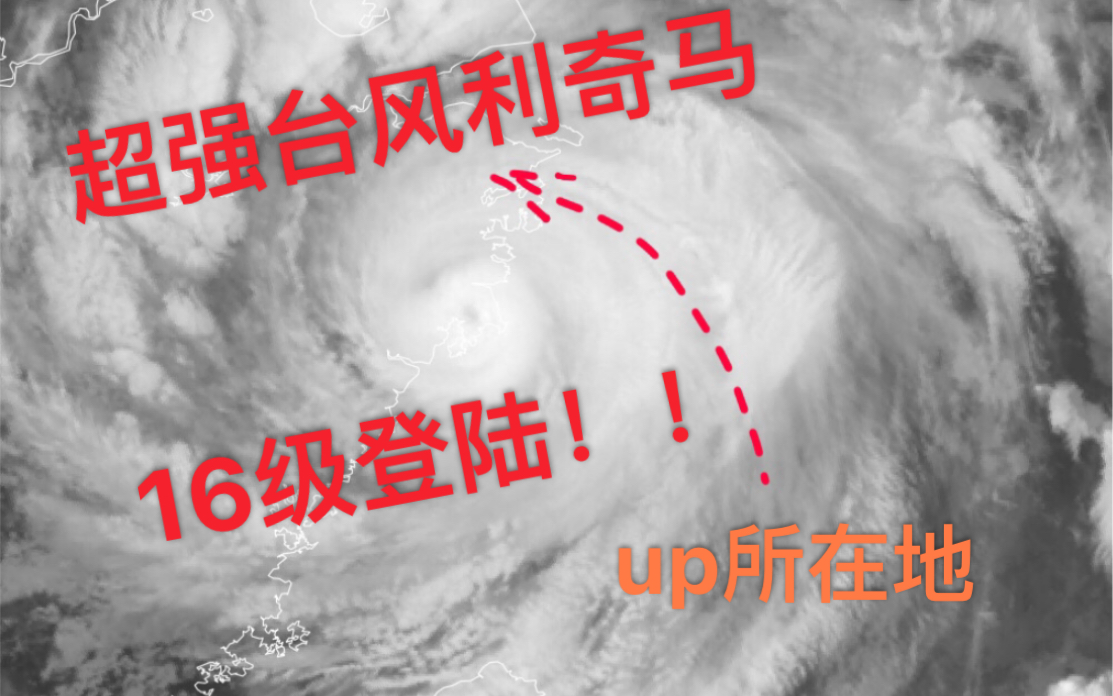 【台风利奇马】超强台风利奇马的威力如何,宁波市区大风实拍!哔哩哔哩bilibili