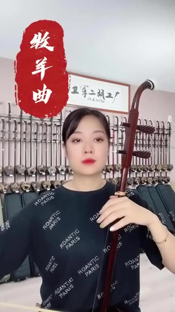 宋飞二胡独奏苏武牧羊图片