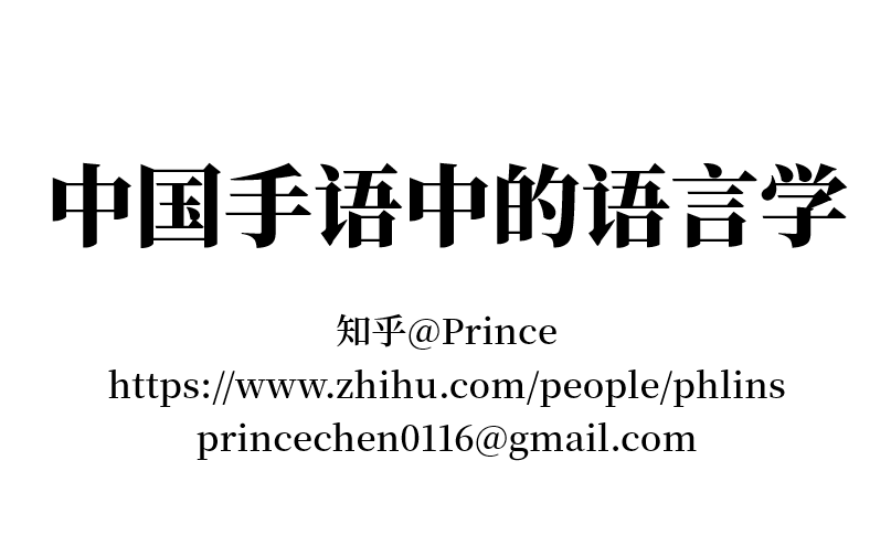 中国手语中的语言学【”第三世界语言“第一届交流会】哔哩哔哩bilibili