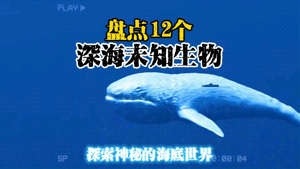 盘点12个深海未知生物,最后一个超出认知哔哩哔哩bilibili