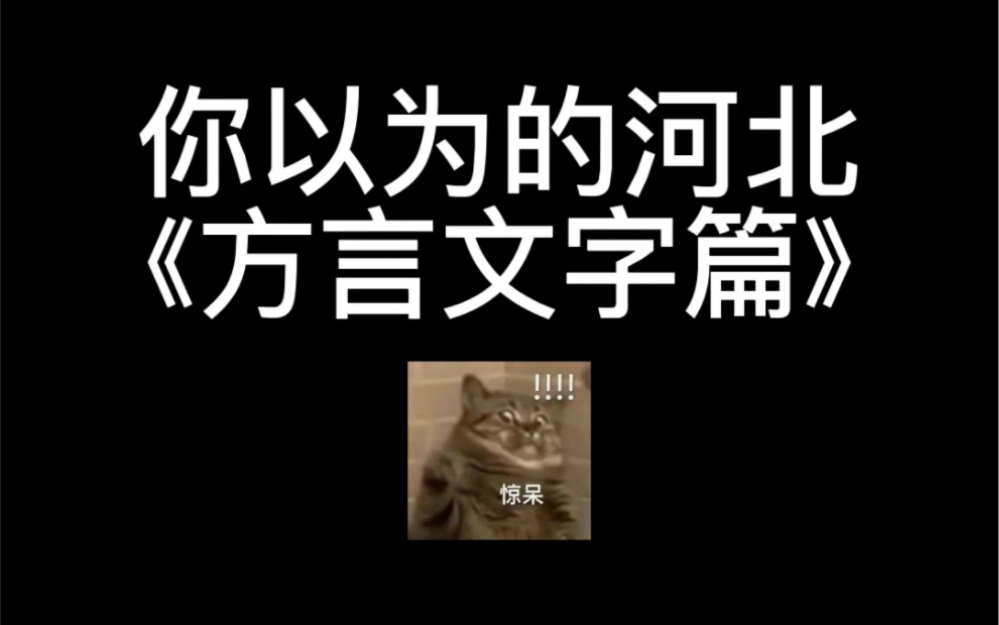 河北方言你会说,但是你不一定会写哔哩哔哩bilibili