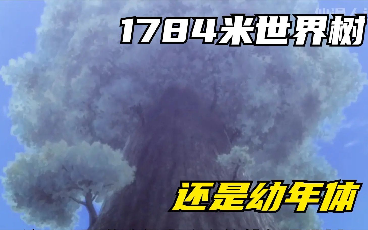 这是一颗还未完全成长的幼年世界树,1784米也是世界第一高度哔哩哔哩bilibili