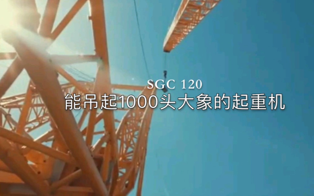 你见过能吊起1000头大象的起重机模型吗哔哩哔哩bilibili