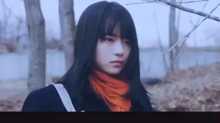 三角草的春天 搜索结果 哔哩哔哩弹幕视频网 つロ乾杯 Bilibili