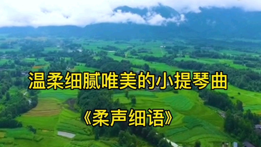 温柔细腻唯美的小提琴曲《柔声细语》