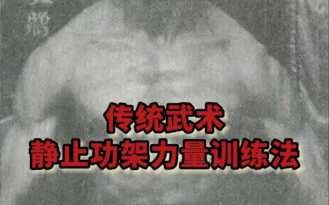 传统武术 静止功架力量训练法哔哩哔哩bilibili