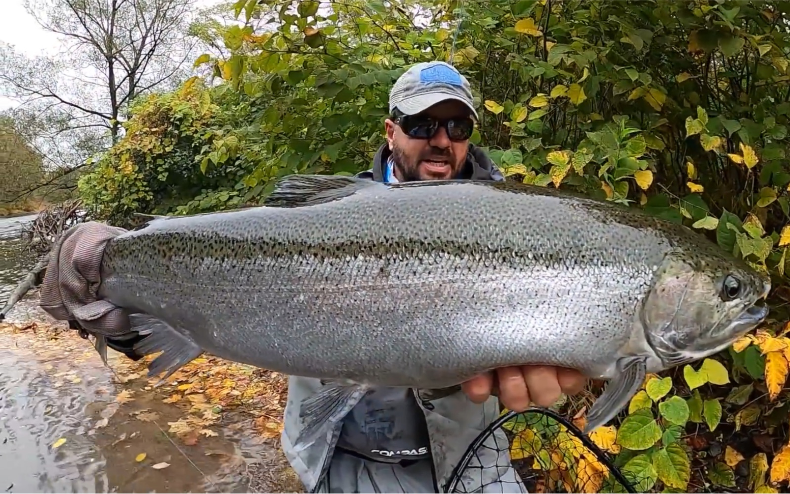 著名的纽约上州Salmon River,三文鱼洄游季,安大略湖畔的垂钓盛宴哔哩哔哩bilibili