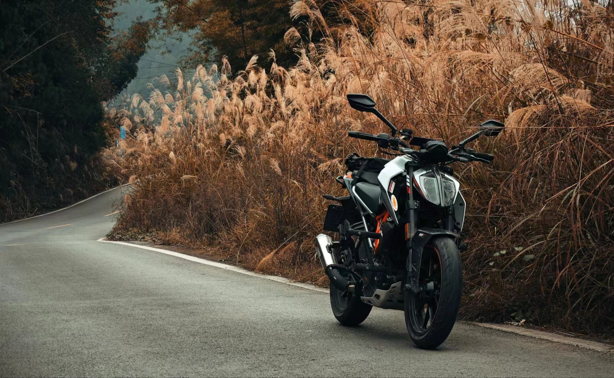 碚城探秘 ktm250duke