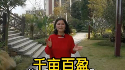 广宁富人区百盈花园 哔哩哔哩