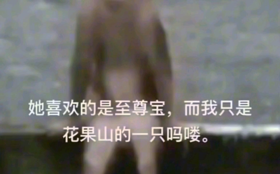今天你吗喽了吗?