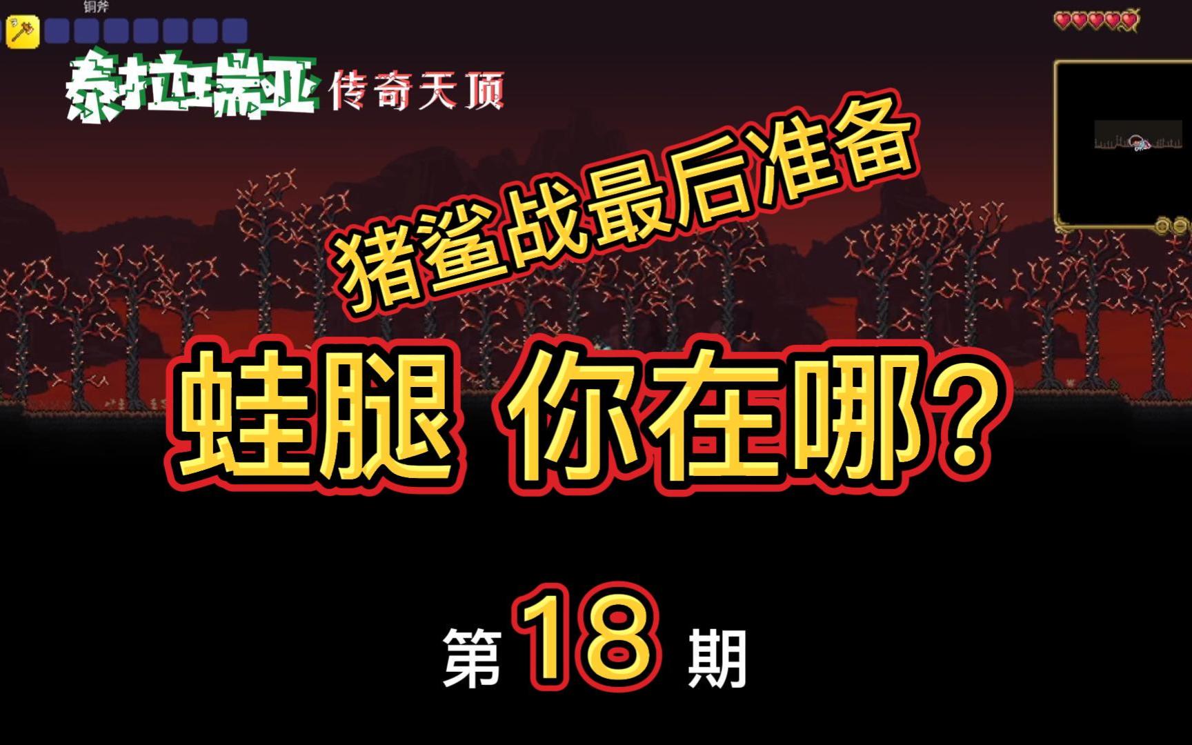 【泰拉瑞亚天顶】第十八期:抓点松露虫,刷点宝箱怪.哔哩哔哩bilibili泰拉瑞亚游戏实况