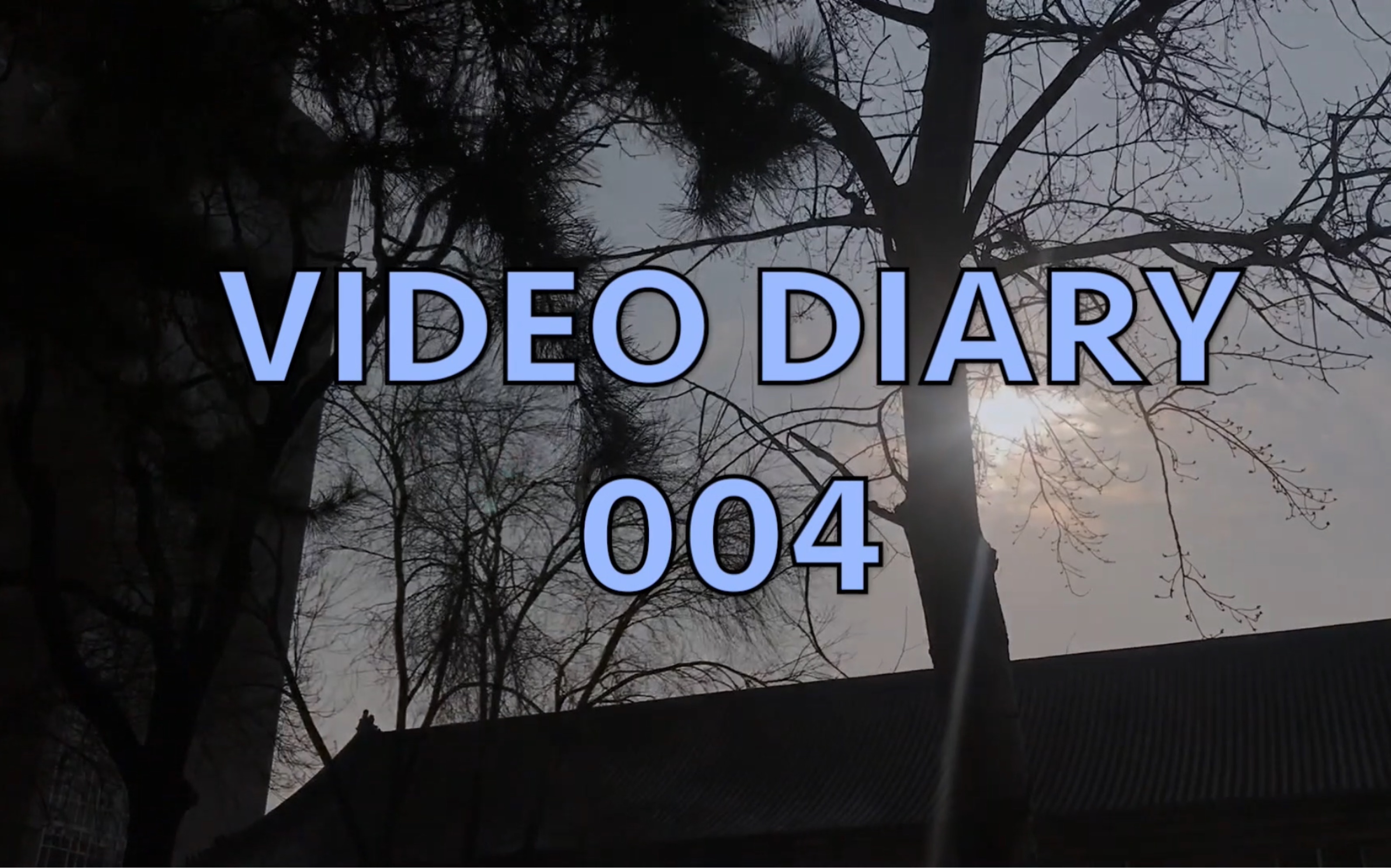 陈海棠[VIDEO DIARY 004]放假前的最后一周/吃pizza/剪头发/逛街/pack with me/一起出发吧哔哩哔哩bilibili