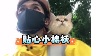 Download Video: 大古和他的猫｜熹熹真是贴心小棉袄