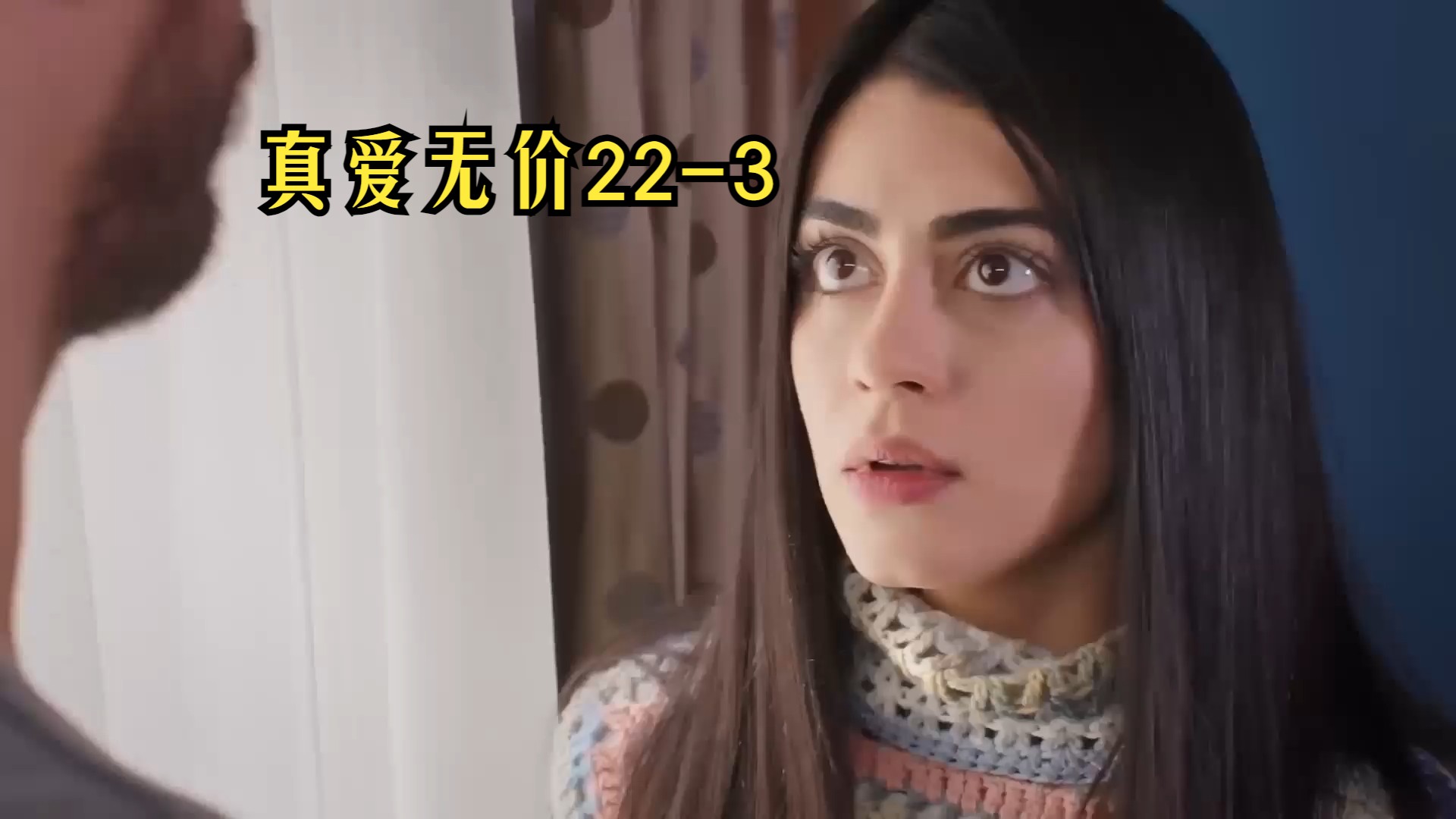 【第22集中字】土耳其剧:真爱无价 22-3