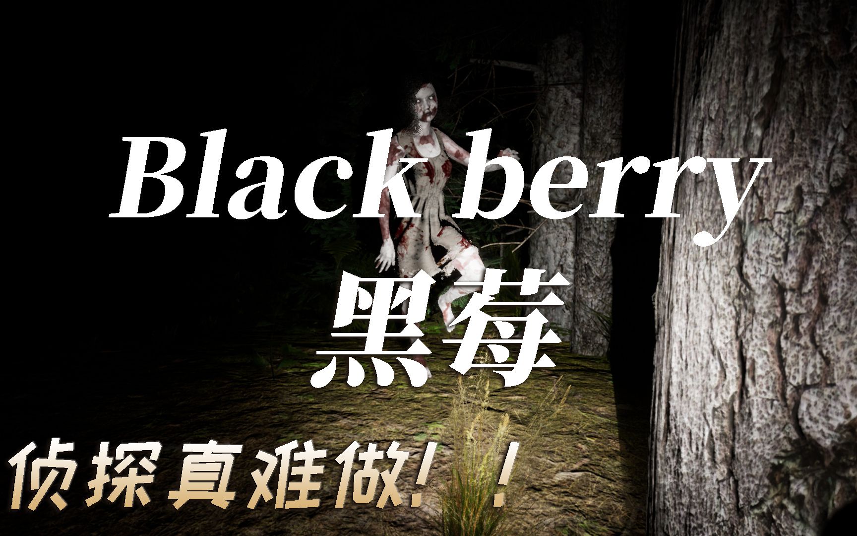 [图]恐怖游戏《Blackberry 黑莓》全流程实况解说