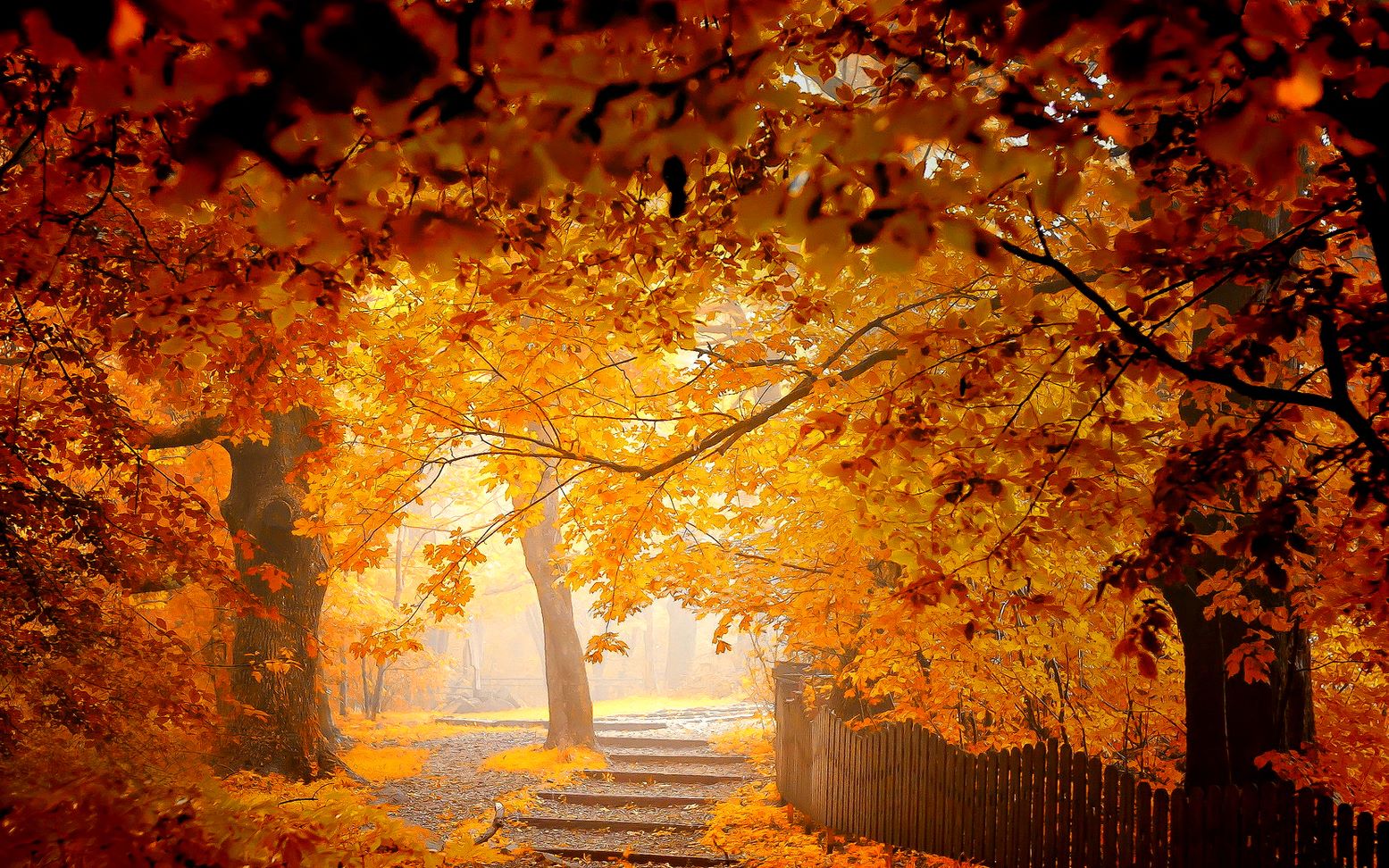 欢乐轻快的清新电音听了之后神清气爽 开启一天好心情_哔哩哔哩 (゜