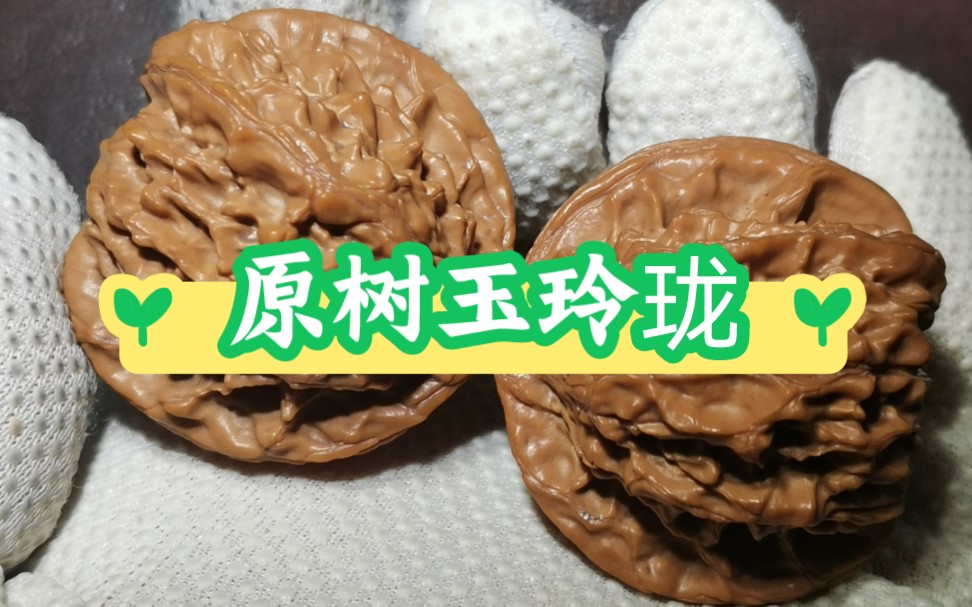 分享一对玉玲珑狮子头