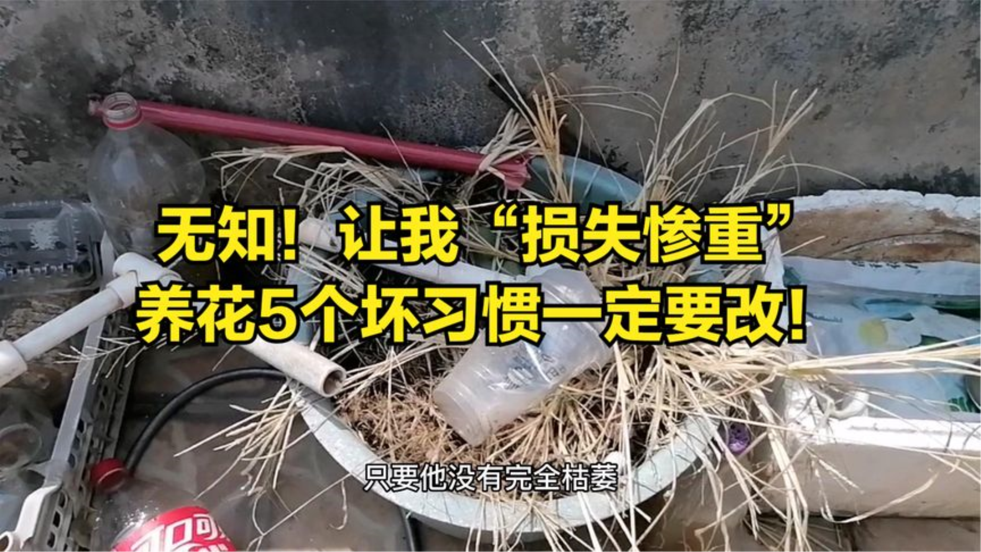 [图]养花“中毒者”的自述：我的问题来源于无知，5个坏习惯不要碰