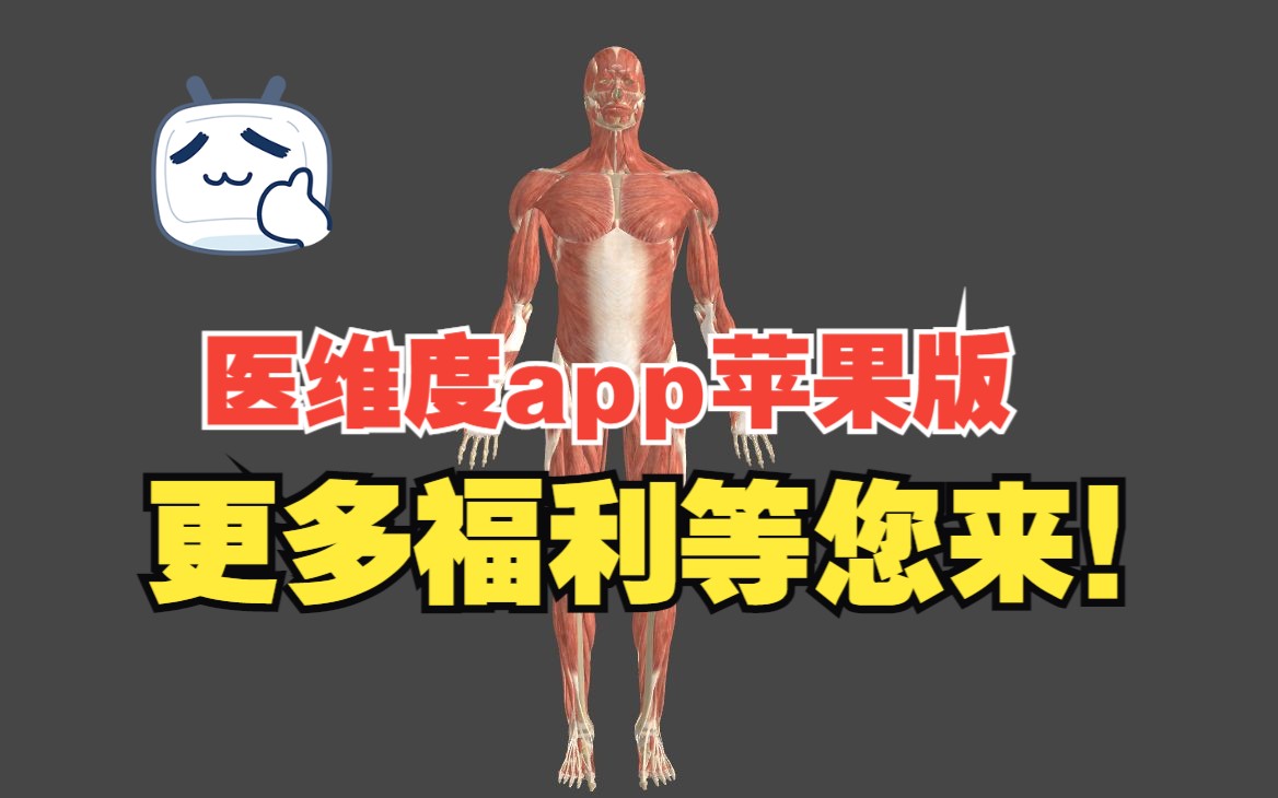 医维度解剖app苹果版已更新,更多福利等着您!哔哩哔哩bilibili