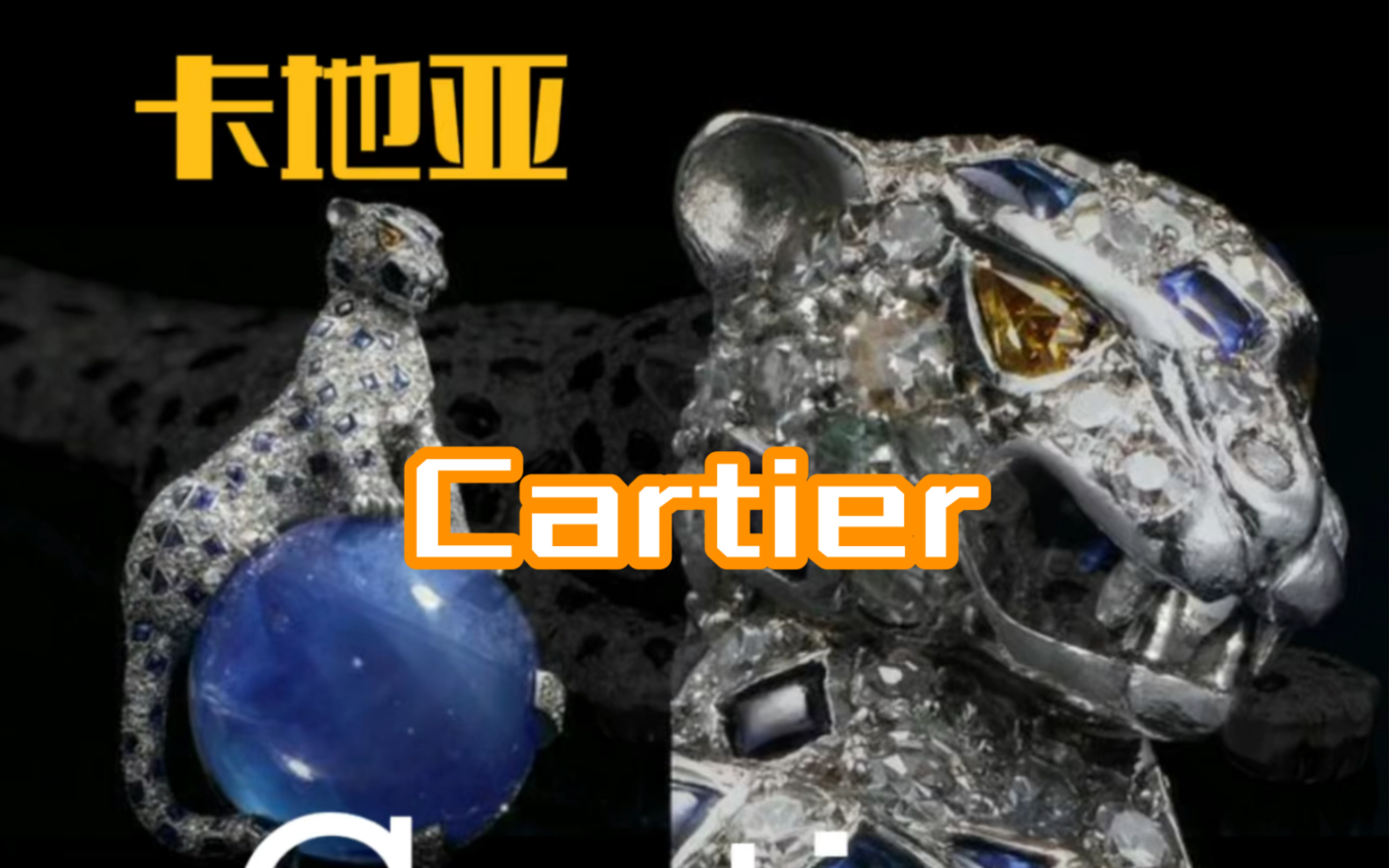 卡地亚Cartier|带你认识拥有豹型首饰的品牌哔哩哔哩bilibili