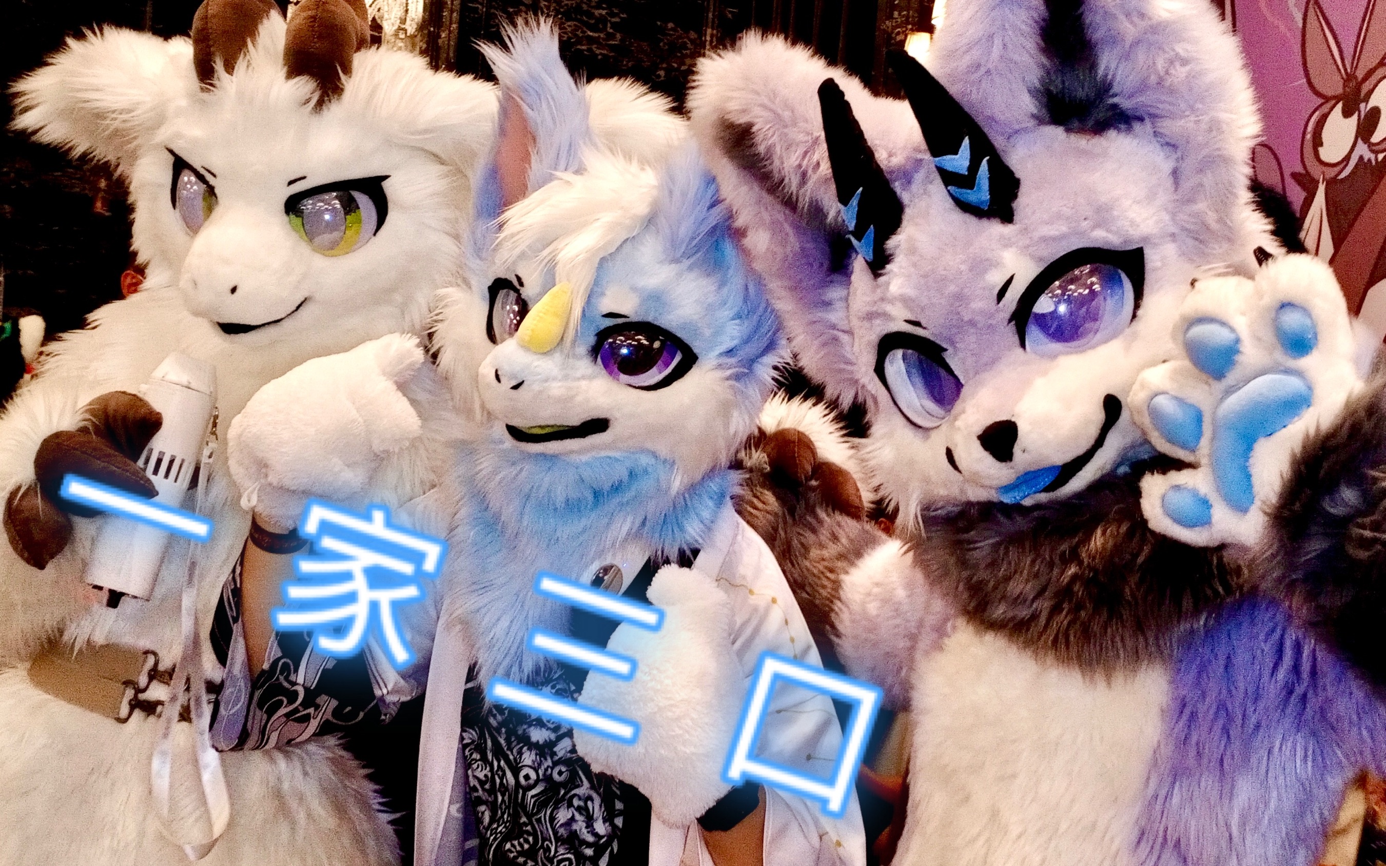 fursuit兽装和大可爱们一起玩耍