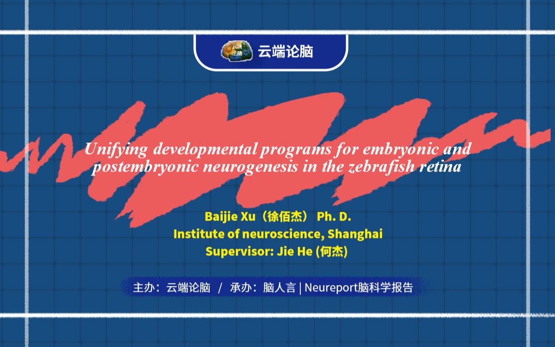 云端论脑 第21期 | 斑马鱼视网膜在胚胎和产后发育时的神经发生模式哔哩哔哩bilibili