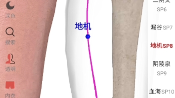 足太阴脾经腧穴分布图示哔哩哔哩bilibili