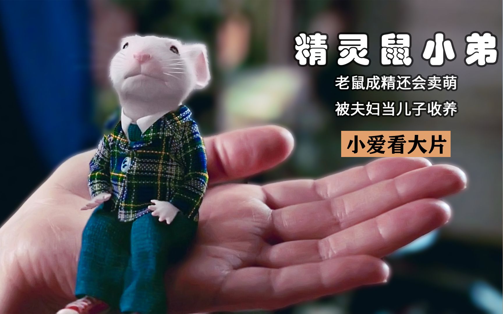 老鼠成精还会卖萌,被好心夫妇当儿子收养,不仅住别墅还会开豪车_哔哩