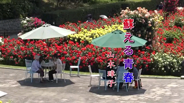 苏える青春 山木璋子哔哩哔哩bilibili