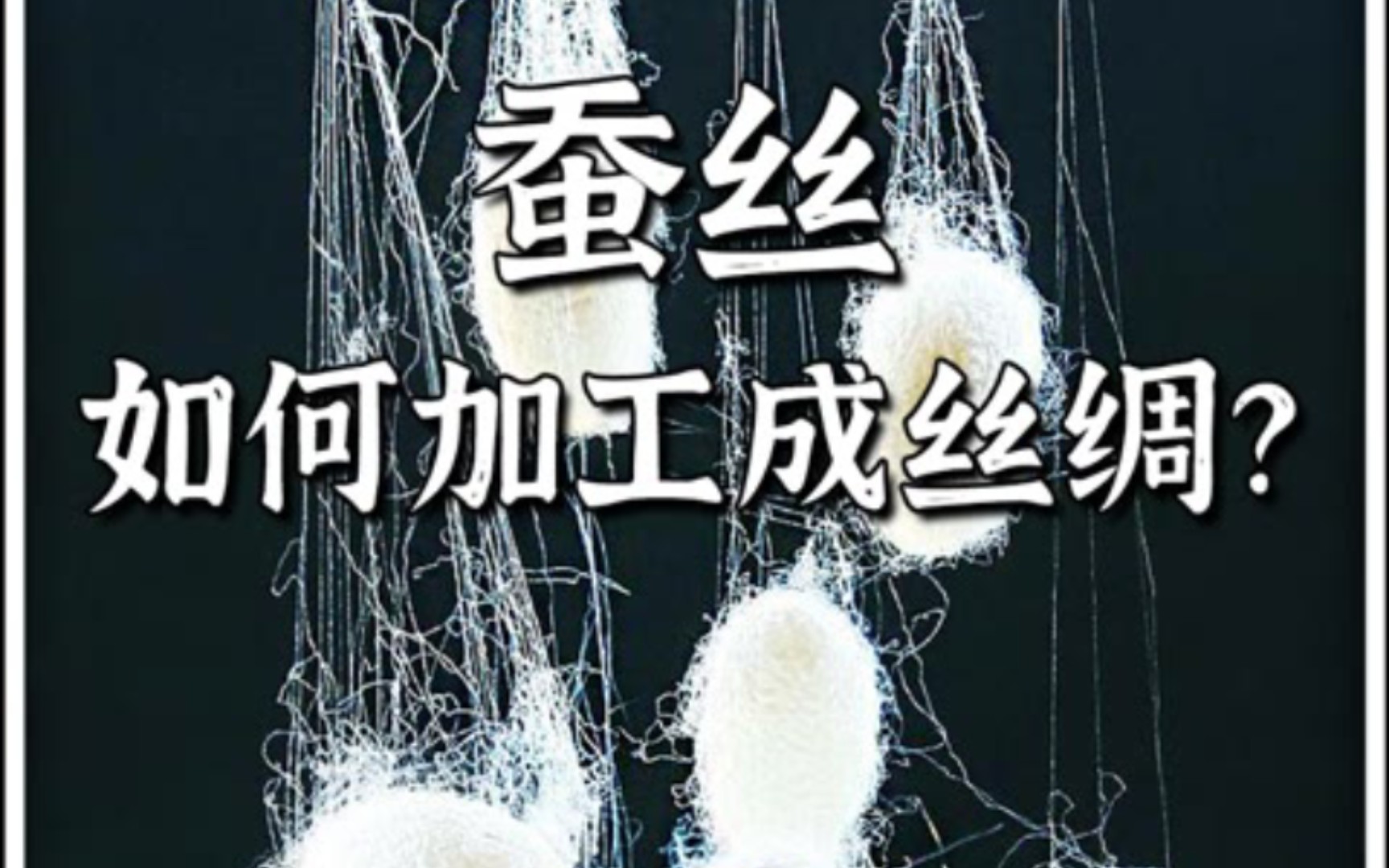 “从蚕茧到丝绸:传统工艺与现代科技的完美结合!”哔哩哔哩bilibili