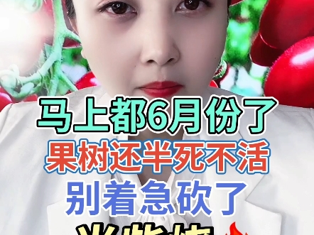 马上都6月份了,果树还半死不活别着急砍了当柴烧